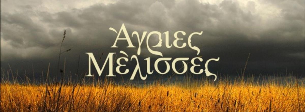 5250801292721472 7794b76a8cff482095ffdb649f7ce8dc