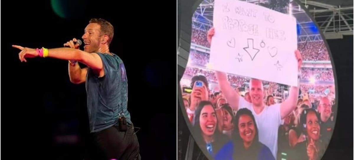 5253514745165351 cats