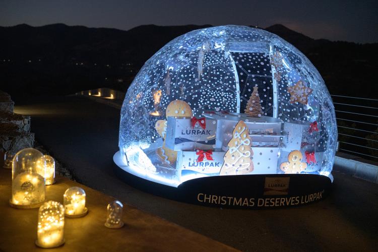 5333074749935306 LOZ 2255