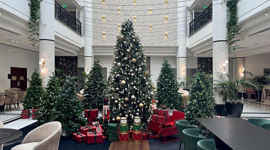 5333850108024549 image