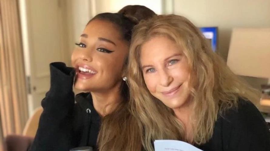 5358069555060008 image