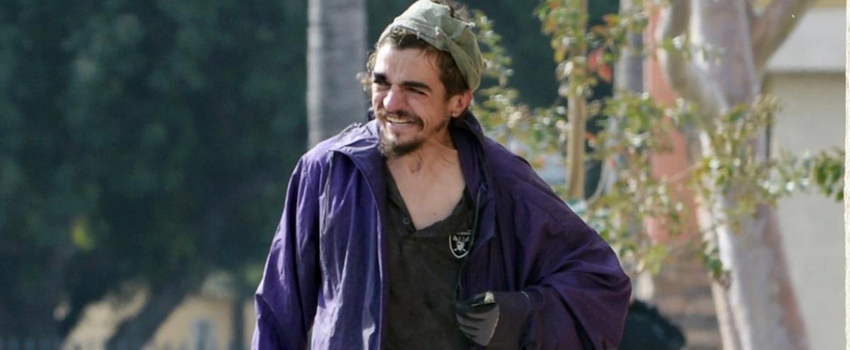 5359775420417297 cats