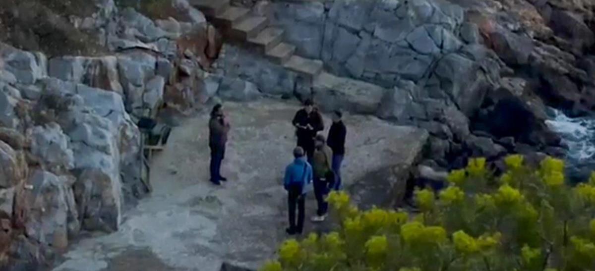 5411140890429027 cats