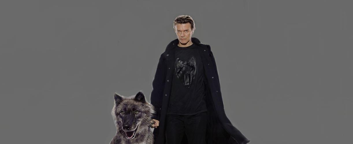 5411695920134845 DAVID BOWIE 1