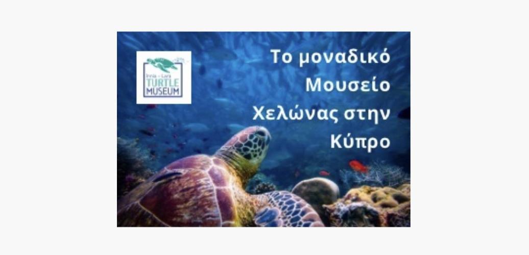 353113207_234158206061361_1979117756303742837_n