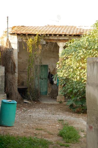 384083111_1341606113158372_8717585927107614681_n