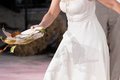 07608720-TOM_1103