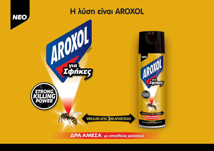 816b7486-8d13-43ba-9a13-da35a8534eae.jpg