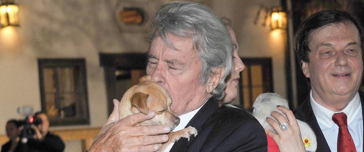 skynews-alain-delon-dog_6661912