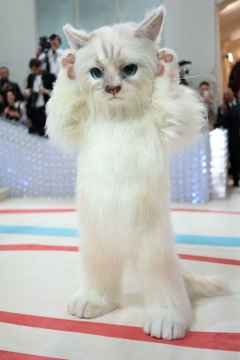 jared-leto-dressed-as-karl-lagerfelds-cat-choupette-attends-news-photo-1682985718