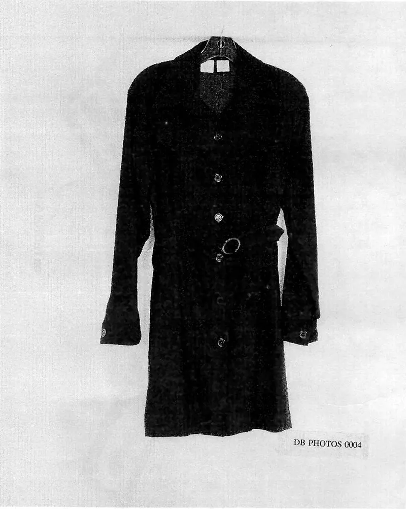 lewinskys-dress